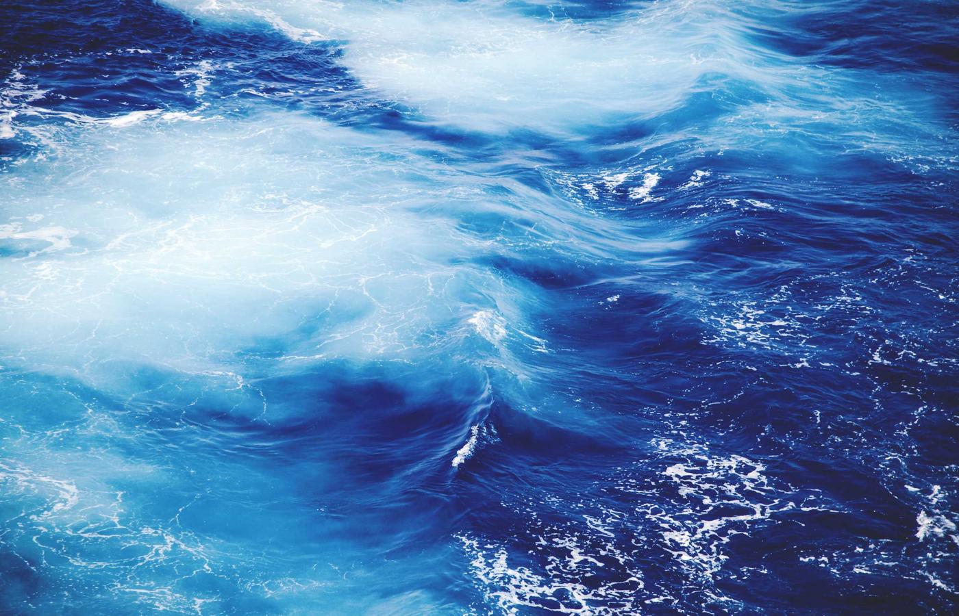 Portrait of Dr. Lena Petrova