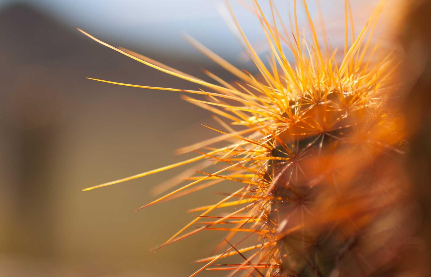 Futuristic illustration of a space station in orbit, indicating future development.