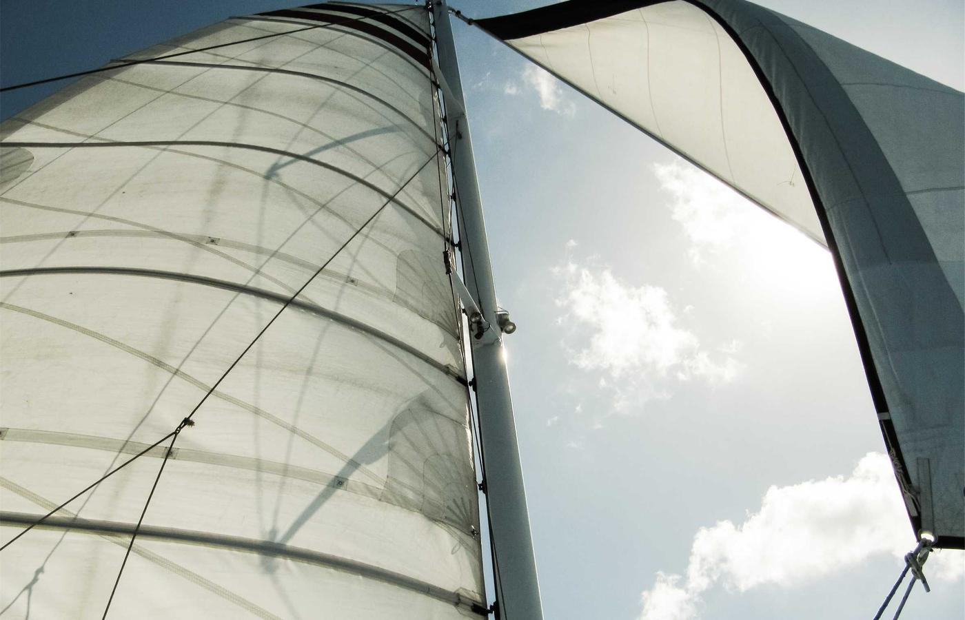 Portrait of Dr. Elias Vance